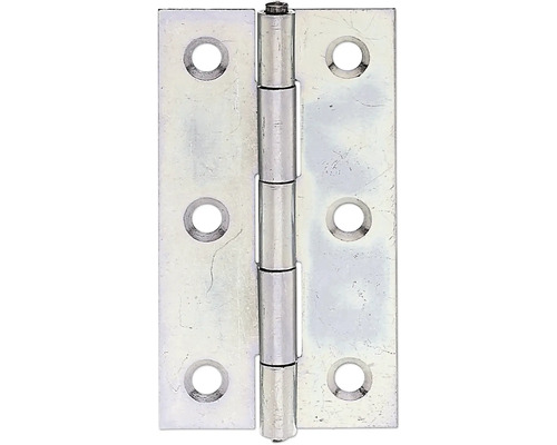 Charnière étroite avec tige en laiton rivetée, 64 x 34 mm galvanisation sendzimir Charnière métallique avec trous de fixation
