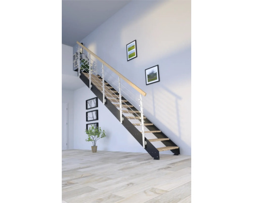 Escalier avec marches en bois, cadre en métal et garde-corps dans une pièce lumineuse