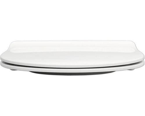 Abattant de WC en céramique sanitaire