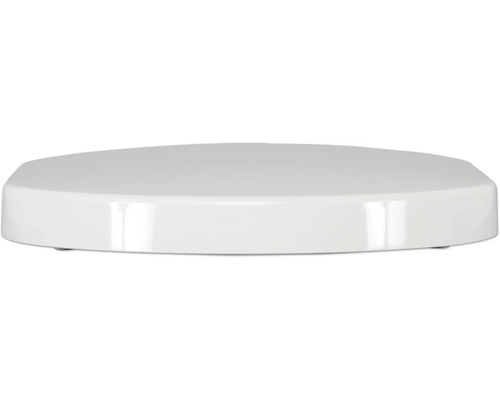 Toilettendeckel aus Kunststoff