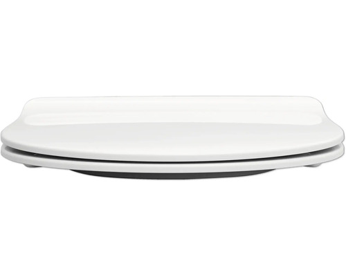 Abattant de WC en céramique sanitaire