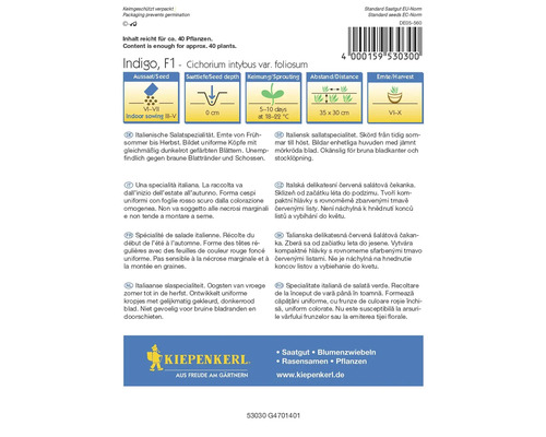 Indigo, F1 - Cichorium intybus var. foliosum sachet de graines avec des informations sur le semis, la profondeur de semis, la germination, l''espacement et la période de récolte