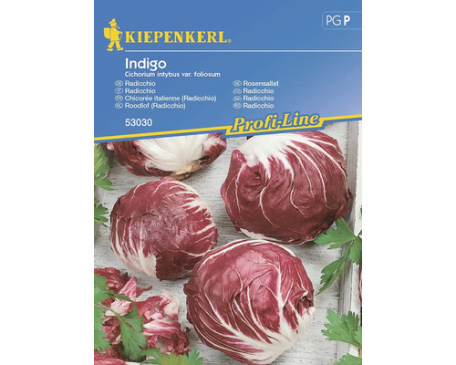 Radicchio Kiepenkerl Gemüsesamen