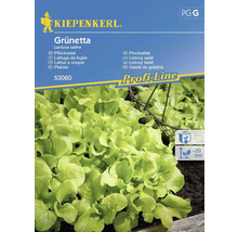 Kiepenkerl Grünetta sachet de graines de laitue à couper
