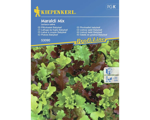 Kopfsalat Maraldi Mischung Kiepenkerl Samenfestes Saatgut Salatsamen