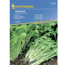 Fanes de navet Namenia Kiepenkerl semence fixes graines de légumes