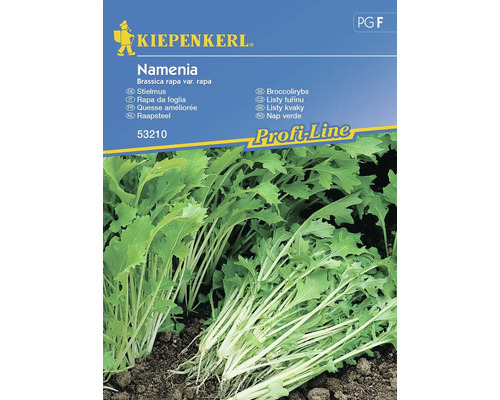 Fanes de navet Namenia Kiepenkerl semence fixes graines de légumes