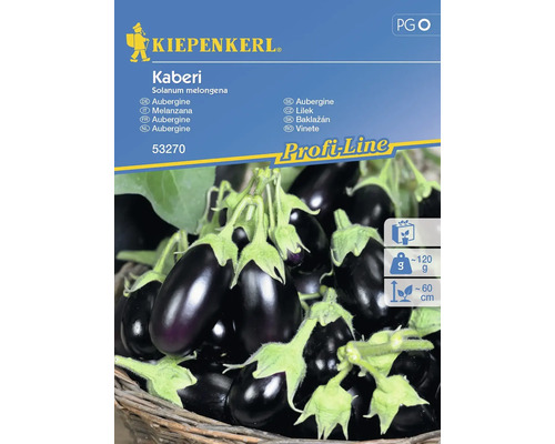 Graines d’aubergines Kiepenkerl