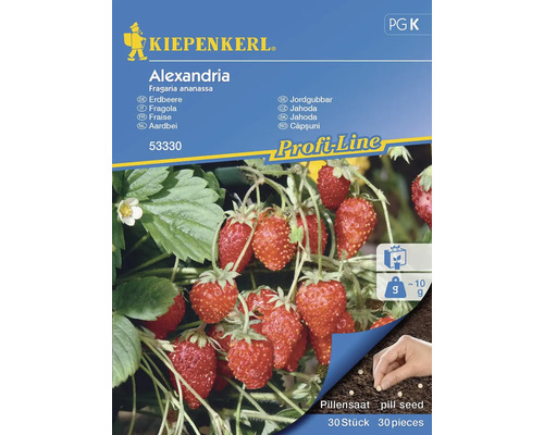 Fraisier Alexandria Kiepenkerl semences fixes fraisier