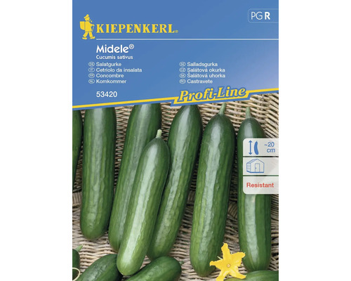 Concombre Midele® Kiepenkerl graines hybrides graines de légumes