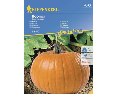 Courge Boomer Kiepenkerl semences hybrides graines de légumes