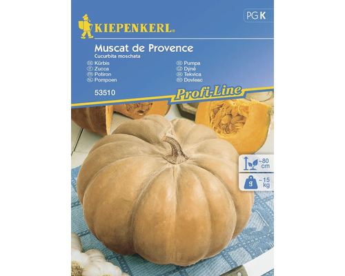 Kürbis Muscat de Provence Kiepenkerl Samenfestes Saatgut Gemüsesamen