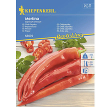 Kiepenkerl Mertina Sachet de graines de piment doux