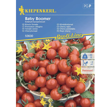 Sachet de graines de tomates cerises Kiepenkerl Baby Boomer
