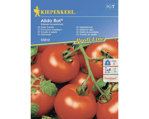 Tomates pour salade Alido Rot® (Bocati, F1) Kiepenkerl graines de légumes hybrides Kiepenkerl Alido Rot Tomate à salade Sachet de graines