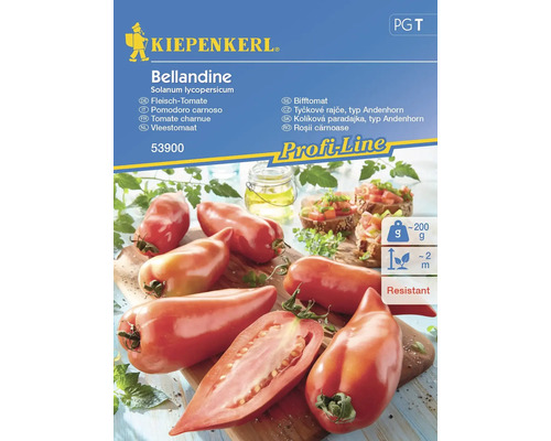 Fleisch-Tomate 'Bellandine' Kiepenkerl Hybride Gemüsesamen