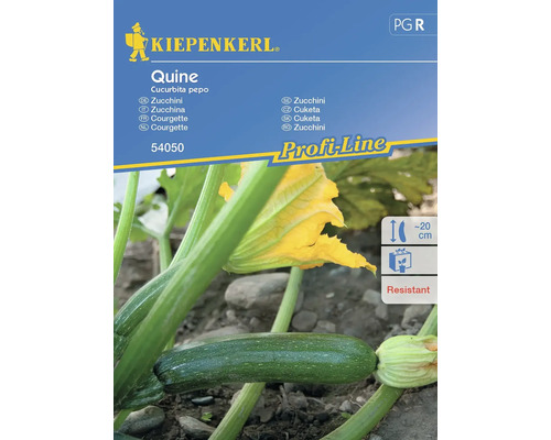 Zucchini Quine Kiepenkerl Hybrid-Saatgut Gemüsesamen