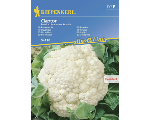 Blumenkohl Kiepenkerl Gemüsesamen