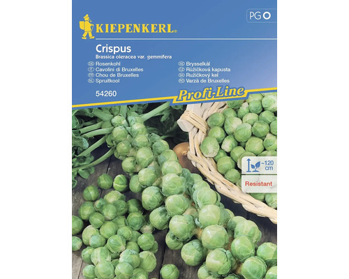 Rosenkohl Kiepenkerl Gemüsesamen