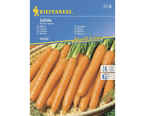 Carotte Jubila® (Naomi) Kiepenkerl semences non hybrides graines de fines herbes Kiepenkerl Jubila Sachet de graines de carottes