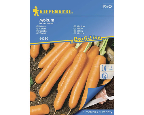 Carotte Mokum Kiepenkerl semences hybrides graines de légumes, ruban de graines Kiepenkerl Graines de carottes Mokum paquet