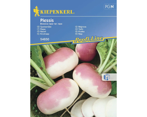 Graines de navet Kiepenkerl