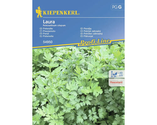 Persil Laura Kiepenkerl semences non hybrides graines de fines herbes