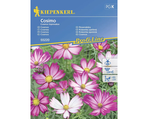 Schmuckkörbchen Cosimo Kiepenkerl Samenfestes Saatgut Blumensamen