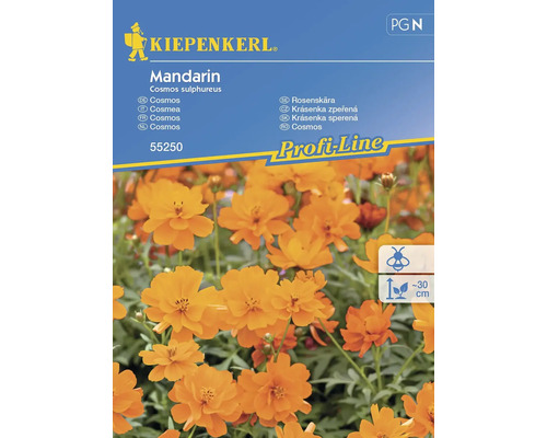 Schmuckkörbchen Mandarin Kiepenkerl Samenfestes Saatgut Blumensamen