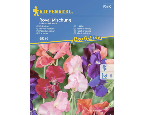 Pois de senteur Kiepenkerl graines de fleurs