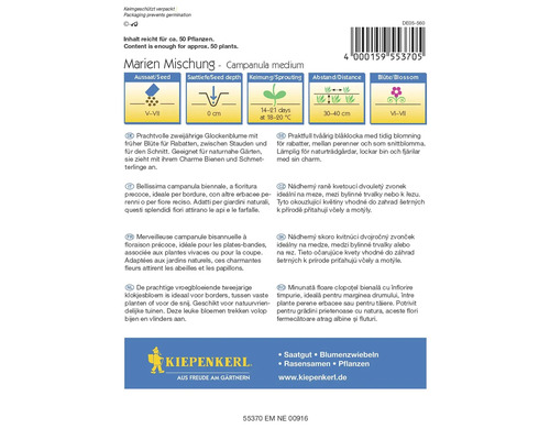 Sachet de graines Marien Mischung Campanula medium