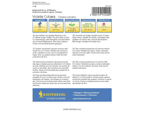 Violette Cobaea Samenpackung von Kiepenkerl mit Informationen zu Aussaat, Wachstum und Blütezeit