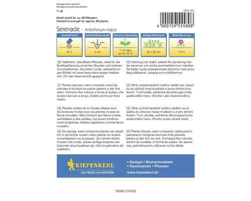 Serenade Antirrhinum Majus Blumensamentüte