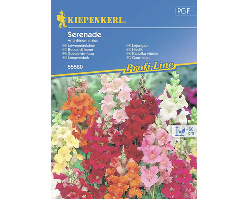 Muflier Serenade Kiepenkerl semences non hybrides graines de fleurs