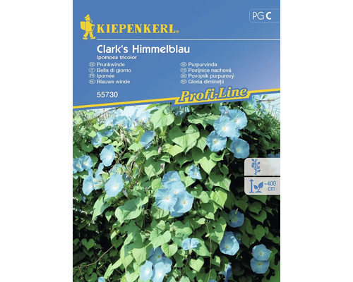 Prunkwinde Kiepenkerl Blumensamen