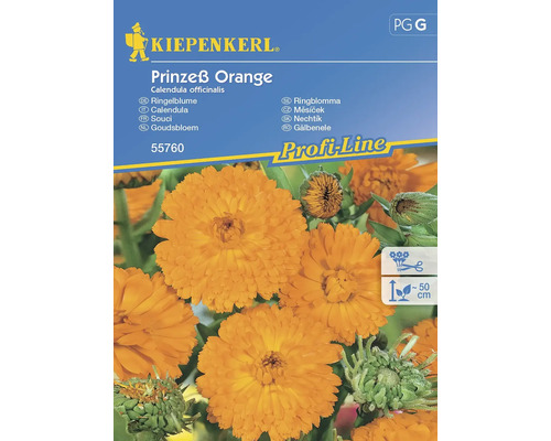 Ringelblume Kiepenkerl Blumensamen