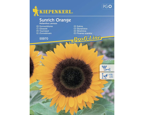 Tournesol Sunrich Orange Kiepenkerl semences hybrides graines de fleurs