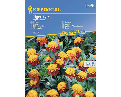 Grossblütige Studentenblume Tiger Eyes Kiepenkerl Samenfestes Saatgut Blumensamen