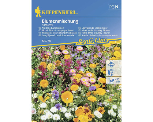 Blumenmischung Kiepenkerl 'Blütenteppich'