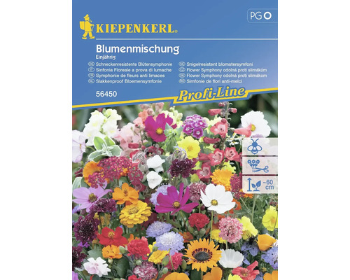 Mélange de fleurs d'été annuelle Kiepenkerl graines de fleurs pour env. 2 m² Mélange de fleurs Kiepenkerl, annuel, symphonie de fleurs anti-limaces