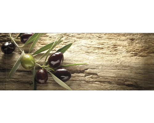 Crédence de cuisine mySpotti Profix Mediterran branche d'olives 160 x 60 cm PX-16060-59-HB