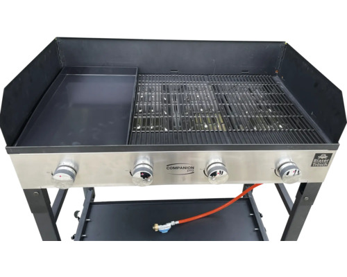 Grill à gaz avec plaque de cuisson et grille de cuisson