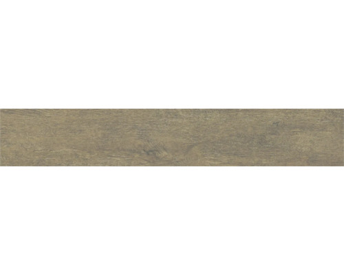 Carrelage sol et mur en grès cérame fin Lenk walnut All in One 19.5x121 cm