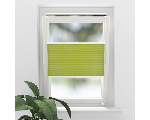 Fenster mit Plissee