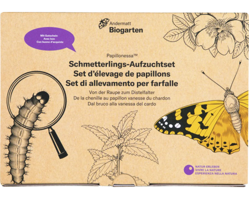 Kit d'élevage de papillons