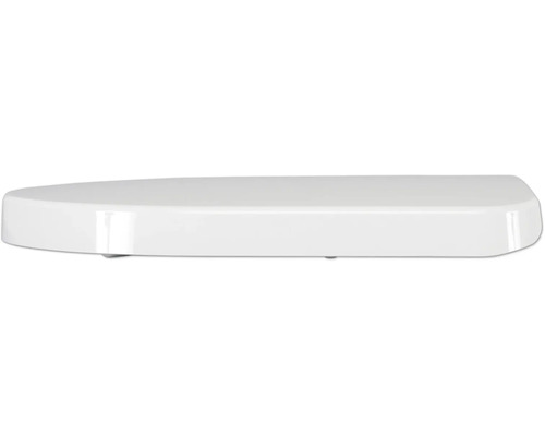 Toilettendeckel aus Kunststoff