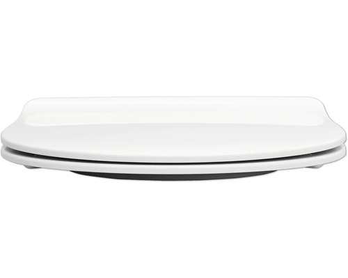 Abattant de toilette en plastique