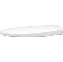 REIKA WC-Sitz MINO weiss Scharniere messing gebürstet mit Absenkautomatik und Quick&Clean universell passend