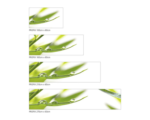 Protection anti-éclaboussures Profix en différentes tailles avec un motif de gouttes d''eau sur des feuilles vertes