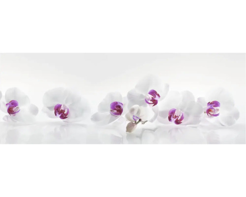 Küchenrückwand mySpotti Profix Orchidee 160 x 60 cm PX-16060-61-HB